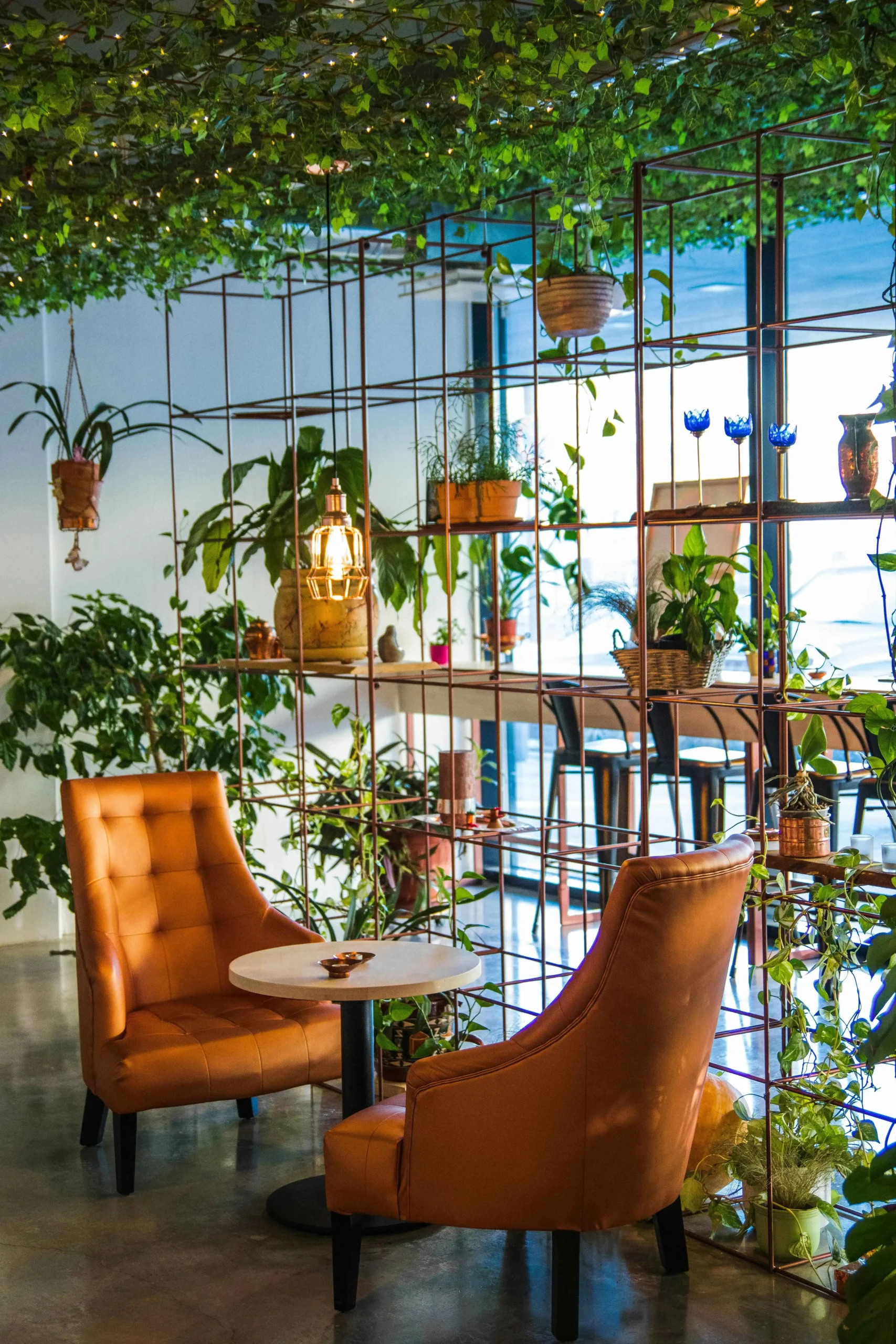 plants on rent in mumbai